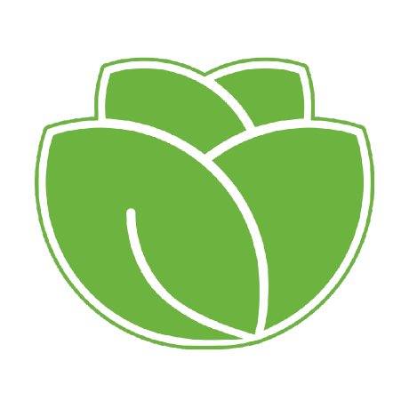 Lettuce Redis Connector